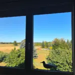 Aussicht vom Wohnzimmer